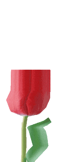 Sofienbergparken Sticker by Piknik i Parken