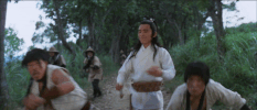 martial arts film GIF by Shaw Brothers