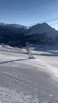 Serre Chevalier GIF