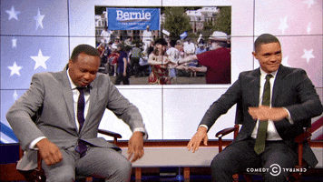 the daily show lol GIF by The Daily Show with Trevor Noah