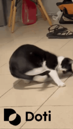 Doti.AI GIF