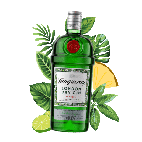 Gintonic Sticker by Tanqueray México