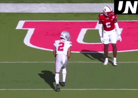 Ohio State Buckeyes GIF by The Undroppables