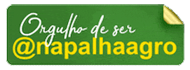 Equipenapalha GIF by Napalha