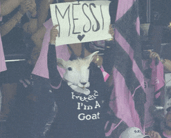 Video gif. Person wearing an authentic-looking goat mask stands and shakes a hand-written sign that says, "Messi" with a heart below. They are in a stadium with other fans dancing and cheering. 