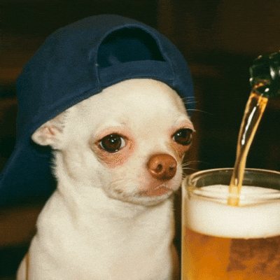 Drunk Dog GIF