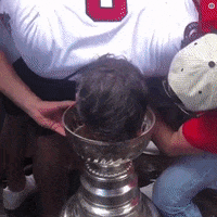 stanley cup celebration GIF