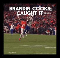 Buffalo Bills GIF