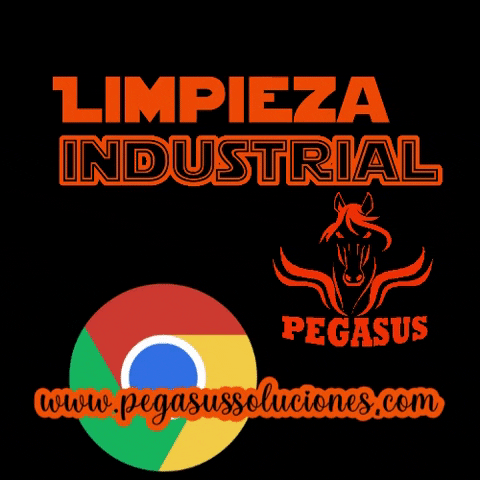 Web Empresa GIF by Pegasus Soluciones