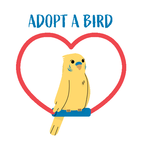 Sing Love Birds Sticker by Boston Animal Shelter