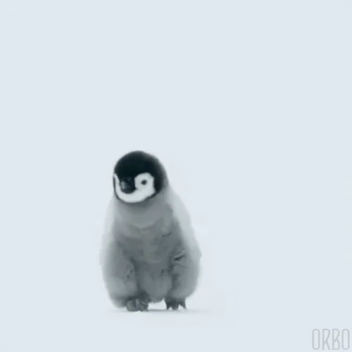 All By Myself snow GIF