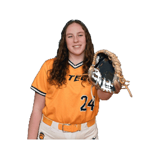 Softball Sticker by WVU Tech Golden Bears