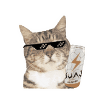 Suaj Unlimited Sticker