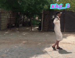 Iraqi Memes GIF