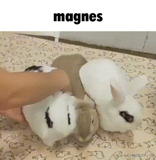 Magnes GIF