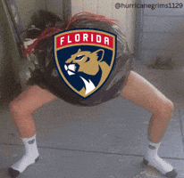 Panthers Ftp GIF
