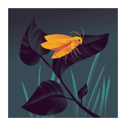 Nocni Zivot Sticker by pipasik