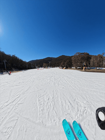 GIF by Thredbo