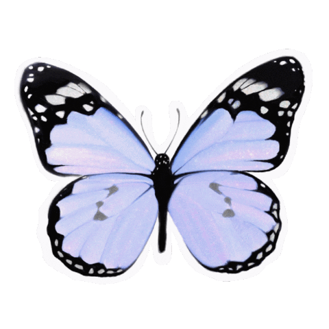 New Sticker