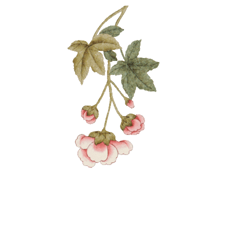 Flower Sticker by Aerin Beauty