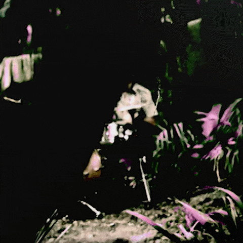 Jon Lee Flowers GIF by Feeder