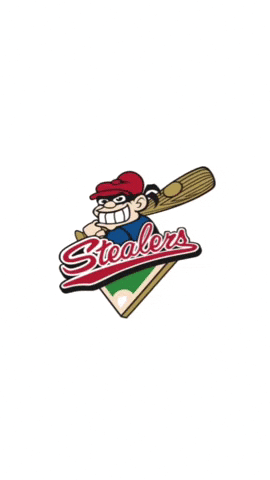 HamburgStealers GIF