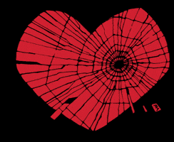 Certified Collectibles Group GIF