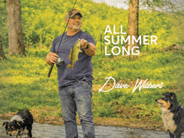 All Summer Long GIF by Dave Wilbert