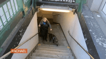 Lets Go Dog GIF by Rachael Ray Show