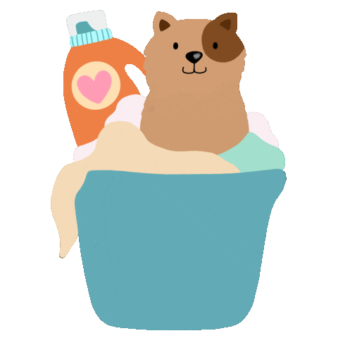 Cat Laundry Sticker