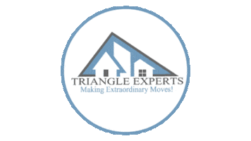 Twirl Sticker by Triangle Experts