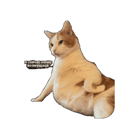 Pikobara Sticker