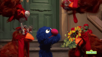 Sesame Street GIF