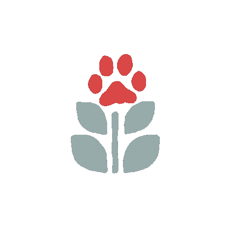 Freckle Farm Sticker