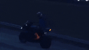 Chasesociety GIF