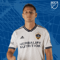 Represent Los Angeles GIF by Major League Soccer