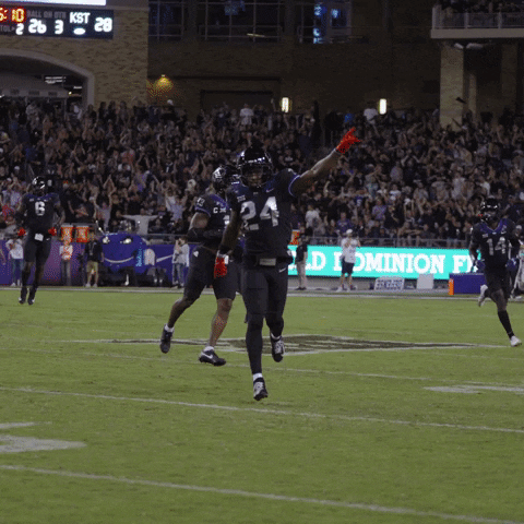 Horned Frogs Celebration GIF by TCU Football