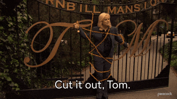 Parks And Recreation Tom GIF by PeacockTV