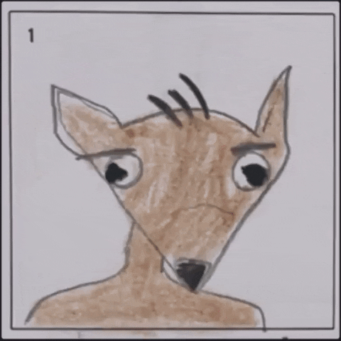 Film Festival Deer GIF by La Guarimba Film Festival - Find & Share on GIPHY