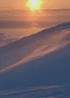 200.gif?cid=fc005b082dfbf35fc442af9d901c27207da20b2004f6f222&rid=200.gif&ct=g