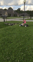 funny ditch GIF