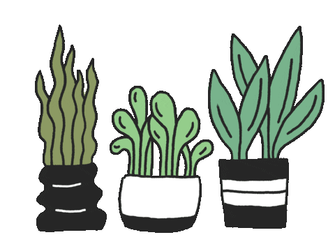 Plants GIFs - Get the best GIF on GIPHY