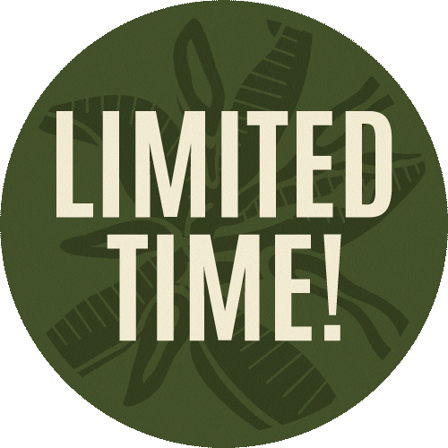 Fairground Sticker by ufvsus