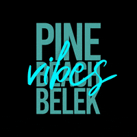 Vibes Pine GIF by PineBeachBelek
