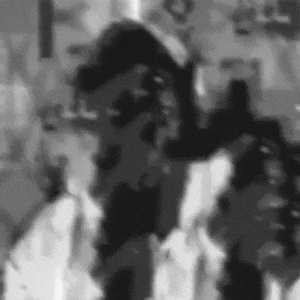 Ky GIF