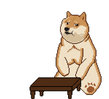 Meme GIF