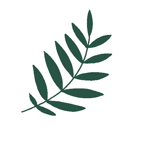 Plant Sticker
