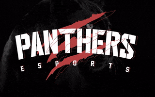 Panthers Esports Club GIF