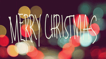 Text gif. Hazy warm Christmas lights glow in the distance as white text dances. Text, "Merry Christmas."