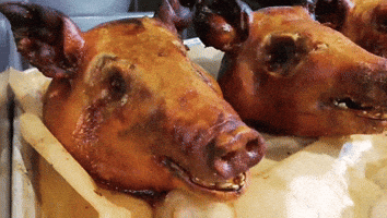 Three Little Pigs Food GIF by ericriveracooks